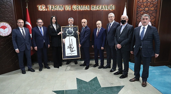 Bakanlara Samsun raporu