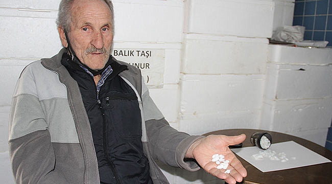 Böbrek hastalarına ‘balık taşı’ önerisi