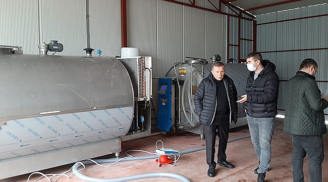 Çiğ süt uygun koşullarda toplanacak