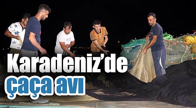 Karadeniz’de çaça avı