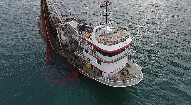 Karadeniz’de sürüklenen mayınlardan balıkçılar endişeli