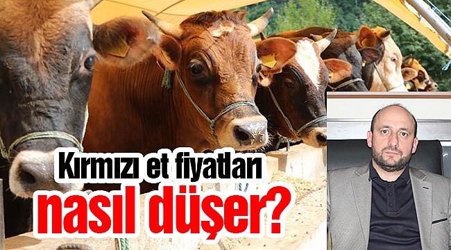 Kırmızı et fiyatları nasıl düşer?