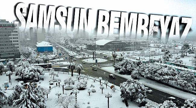 Samsun bembeyaz