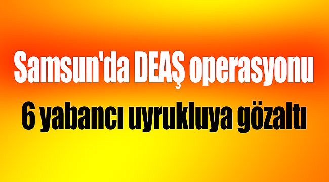 6 yabancı uyrukluya gözaltı