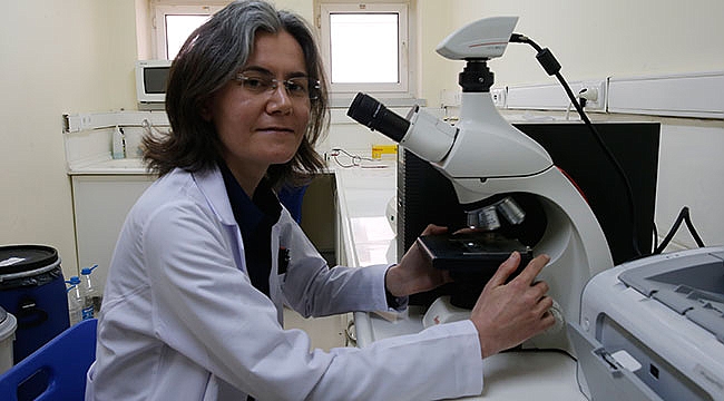 Antarktika'ya uzanan başarı hikayesi