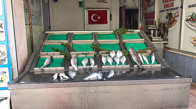 Balıkçılar tezgah kapattı