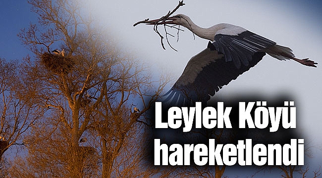 Leylek Köyü hareketlendi