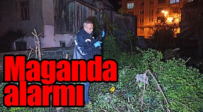 Maganda alarmı