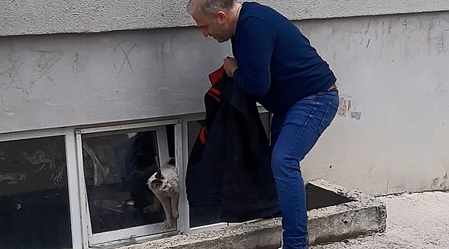 Pencereye sıkışan kedi kurtarıldı