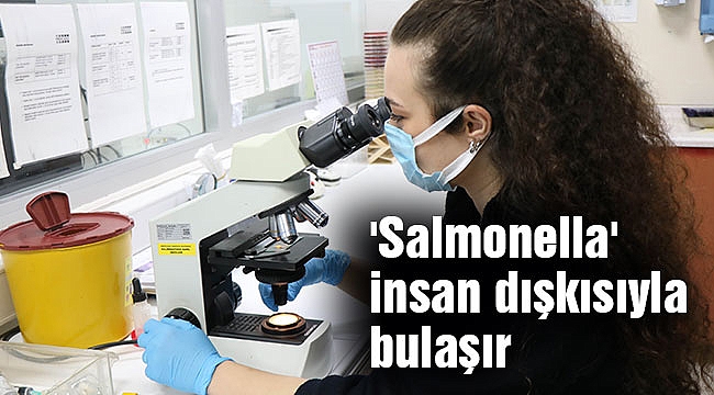 'Salmonella' insan dışkısıyla bulaşır