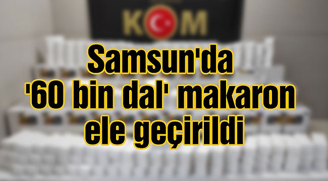 Samsun'da '60 bin dal' makaron ele geçirildi