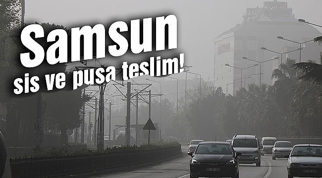 Samsun sis ve pusa teslim!