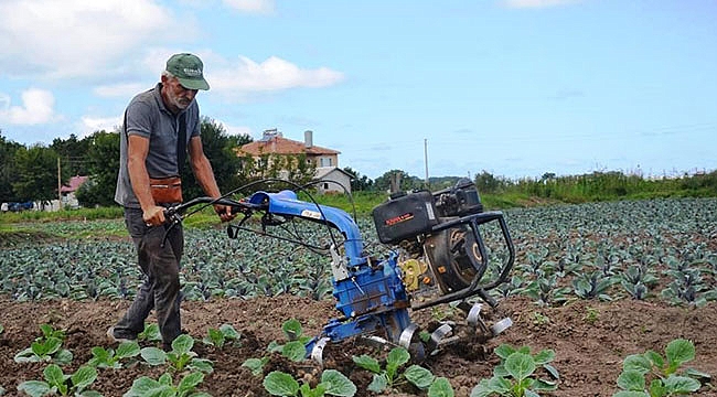 Samsun'un toprakları çok verimli