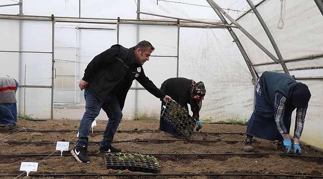 6 yeni tohum çeşidi tescillendi