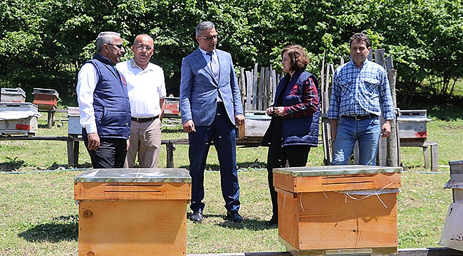 Arı sütü projesi yaygınlaşıyor