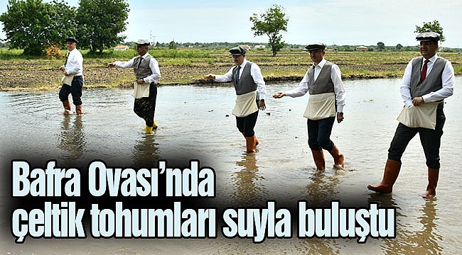 Bafra Ovası’nda çeltik tohumları suyla buluştu