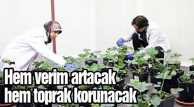 Hem verim artacak hem toprak korunacak