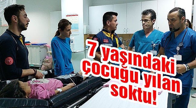 7 yaşındaki çocuğu yılan soktu!