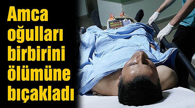 Amca oğulları birbirini ölümüne bıçakladı