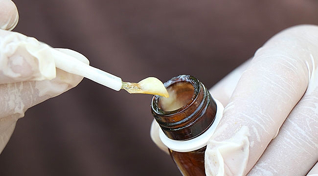  'Arı sütü' servet değerinde: Gramı 15, kilosu 15 bin TL