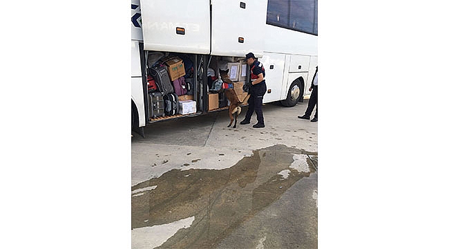 Binlerce genci zehirleyeceklerdi