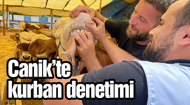 Canik’te kurban denetimi