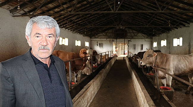 Damızlık kurban uyarısı