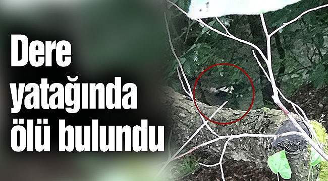 Dere yatağında ölü bulundu