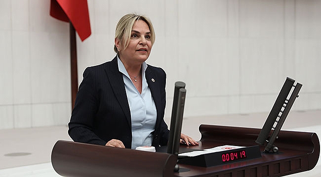 Hancıoğlu’ndan Kurupelit Marina soruları