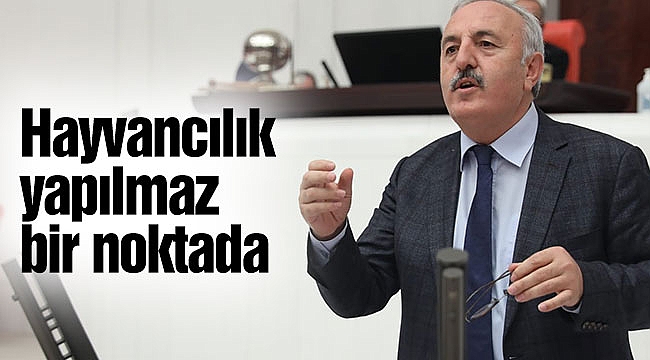 Hayvancılık yapılmaz bir noktada