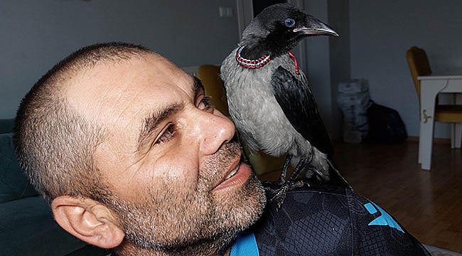 Karga halinden memnun