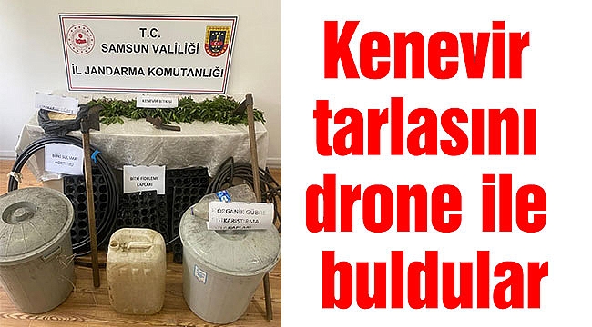 Kenevir tarlasını drone ile buldular