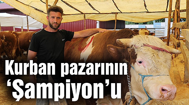  Kurban pazarının ‘Şampiyon’u