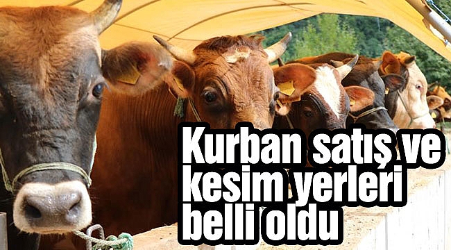 Kurban satış ve kesim yerleri belli oldu