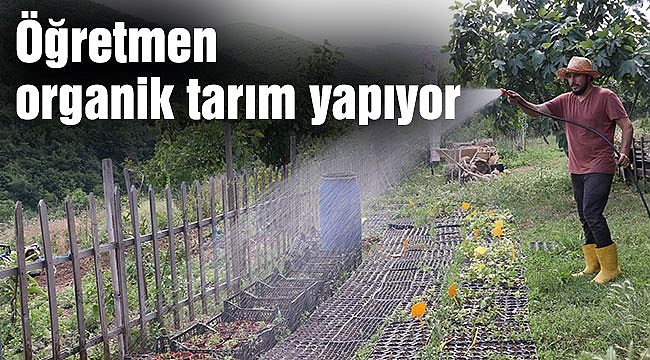Öğretmen organik tarım yapıyor