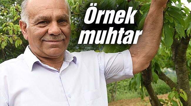 Örnek muhtar