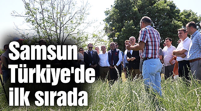 Samsun Türkiye'de ilk sırada