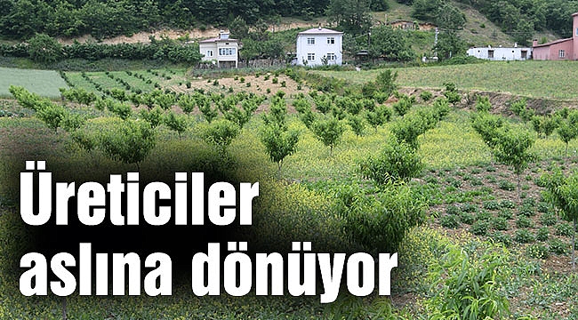 Üreticiler aslına dönüyor