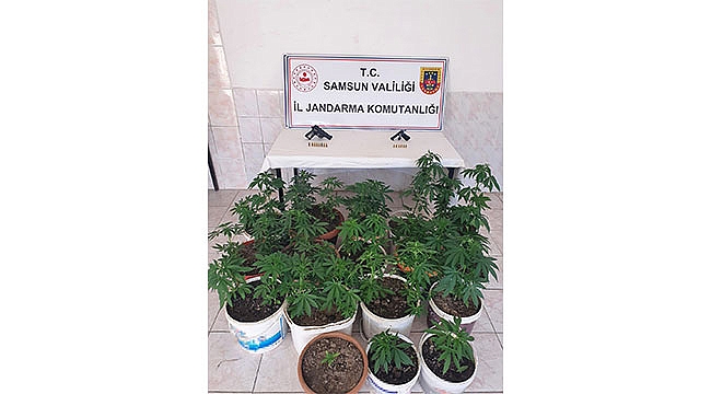 Uyuşturucu ve silah ele geçirildi