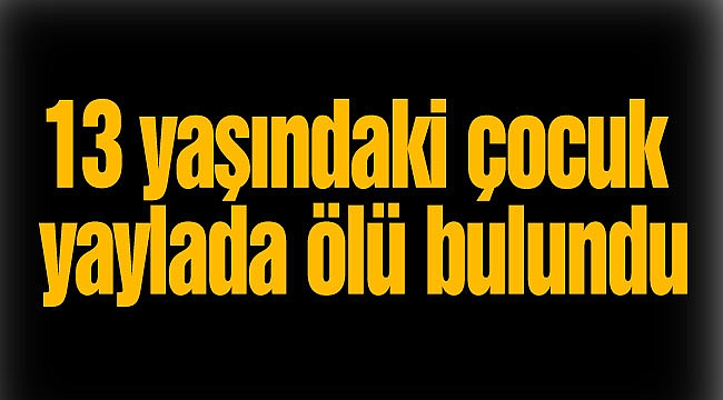 13 yaşındaki çocuk yaylada ölü bulundu