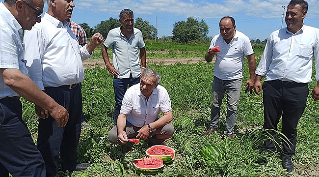 Bafra karpuzu damakları tatlandırıyor