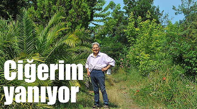 Ciğerim yanıyor
