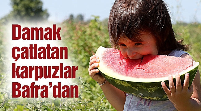 Damak çatlatan karpuzlar Bafra'dan
