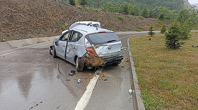 Devrilen otomobilin sürücüsü yaralandı