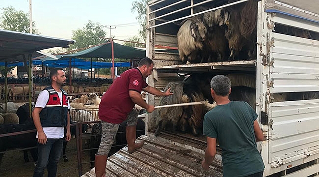 Dolandırıcıların tuzağına düştü