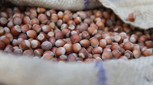 FİSKOBİRLİK’te hazırlıklar tamam