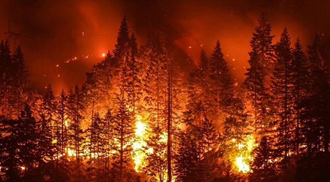 Orman alanlarına girişler yasaklandı