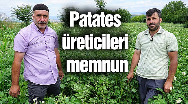 Patates üreticileri memnun