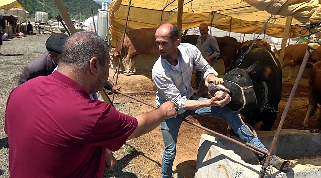 Pazarlıklar kızıştı