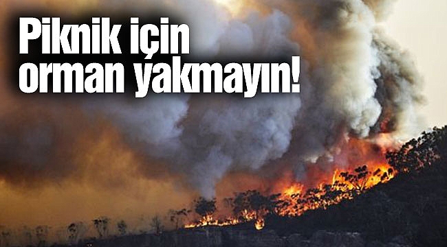  Piknik için orman yakmayın!
